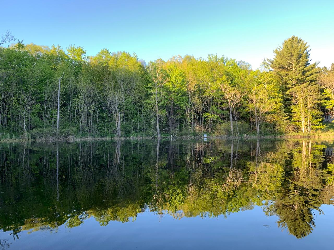 Lot 2 Kling Road Presque Isle, WI 54557 - Photo 18 of 18 Gallery Image 18