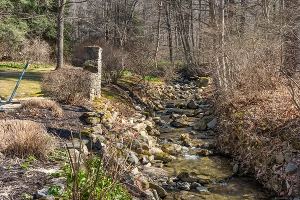 a view of a yard with plants