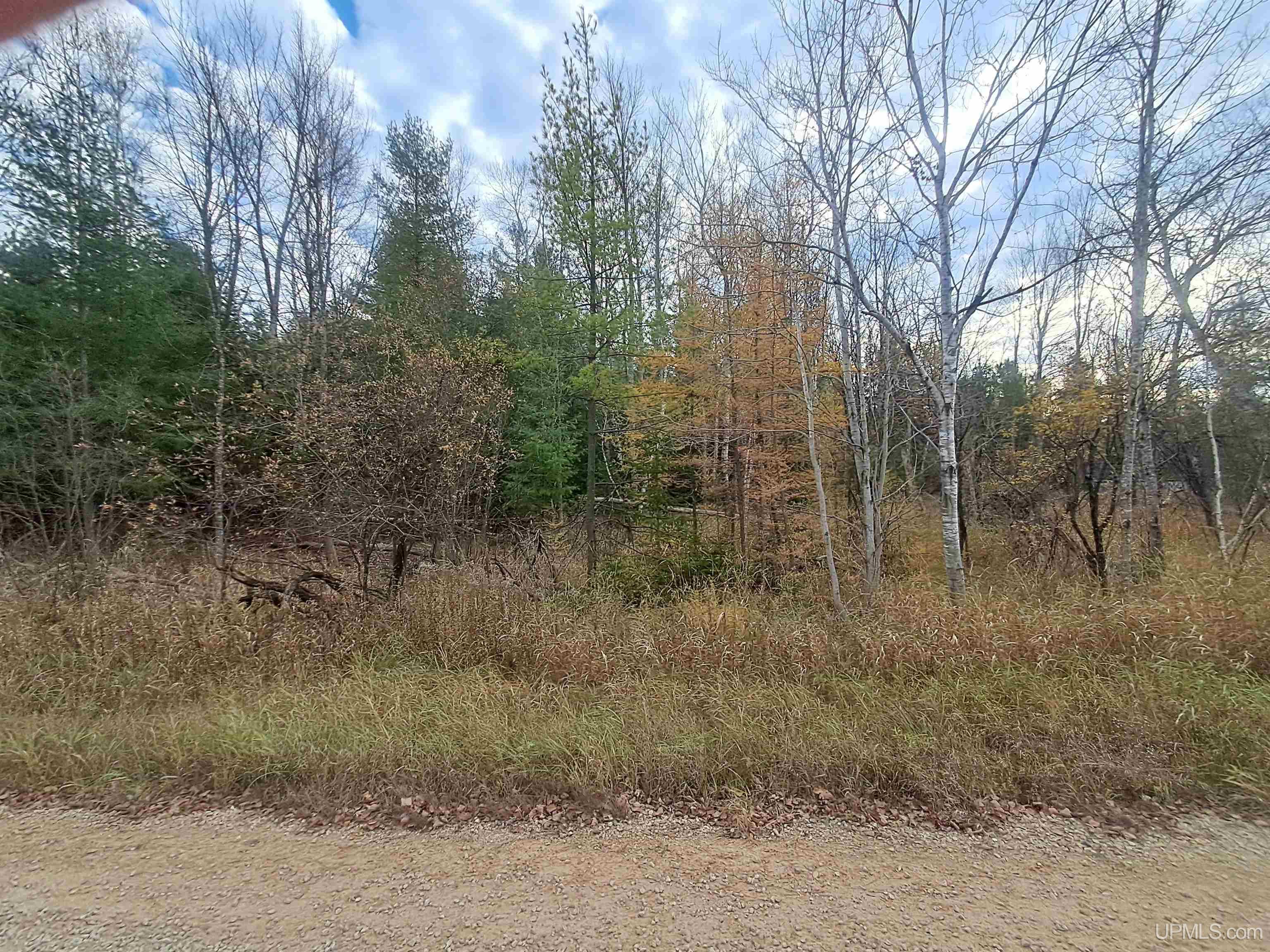 Tbd Tbd Snuff Road Hermansville, MI 49847 - Photo 5 of 8