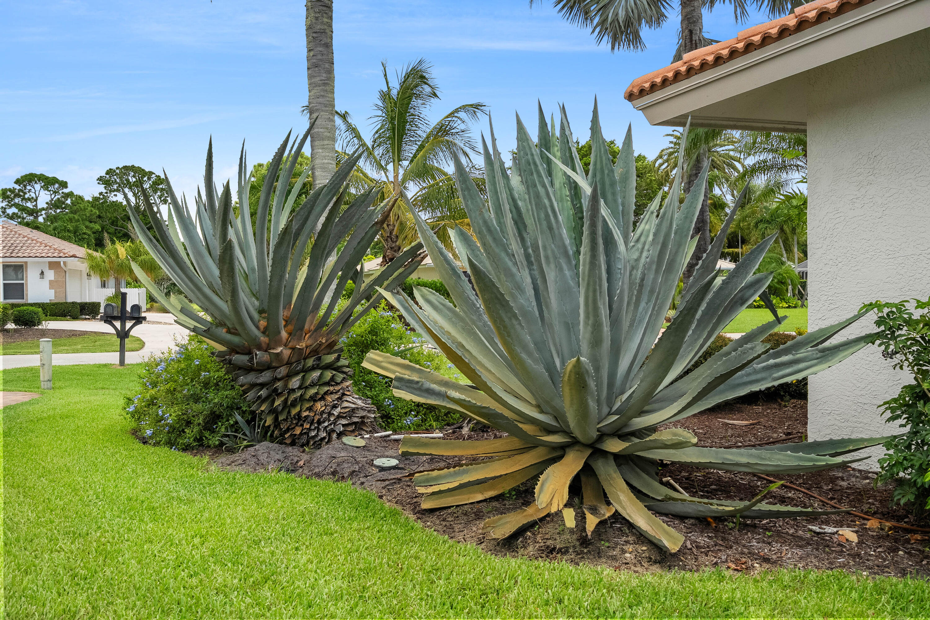 3422 Southeast Fairway West Stuart, FL 34997 - Photo 67 of 88 Landscaping
