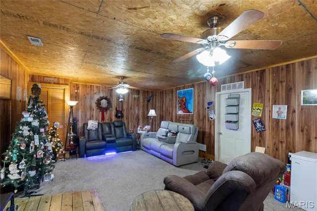 $350,000 | 1997 County Road 22, Belleview, MO 63623