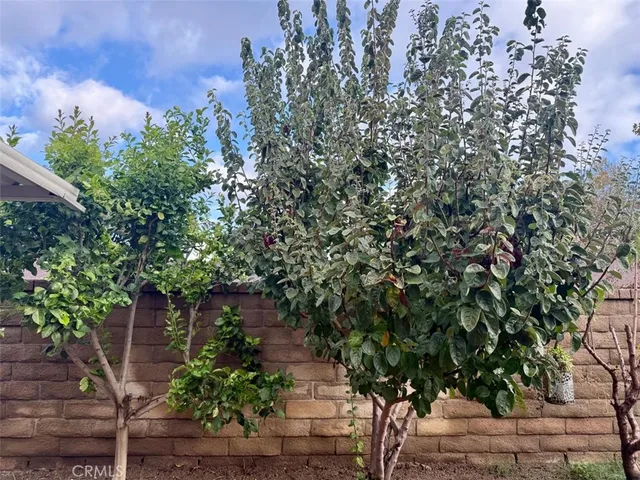 a view of a back yard of the house