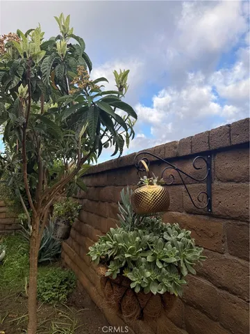 a view of a garden with plants