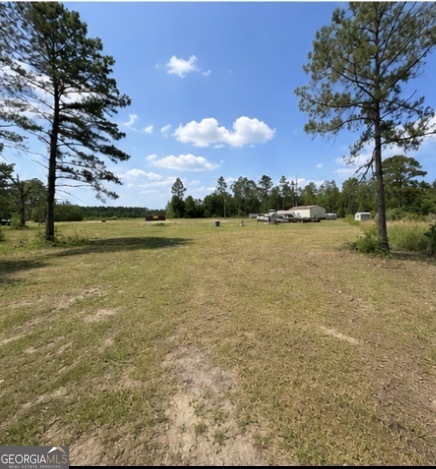 1087 Green Morgan School Road Clyo, GA 31303 - Photo 11 of 24