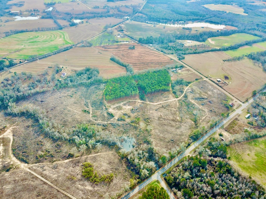 20-acres Hudson Road Columbia, AL 36319 - Photo 18 of 40