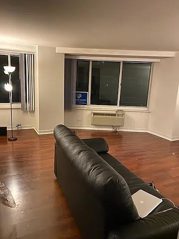211 East Ohio Street, Unit 1003 Chicago, IL 60611 - Photo 2 of 11 a living room with furniture window and wooden floor