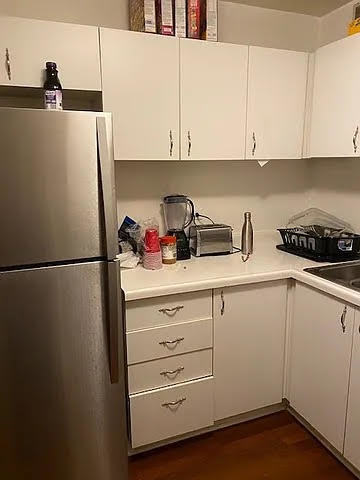 211 East Ohio Street, Unit 1003 Chicago, IL 60611 - Photo 5 of 11 a kitchen with refrigerator and cabinets