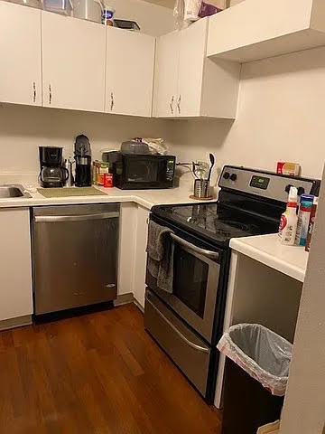 211 East Ohio Street, Unit 1003 Chicago, IL 60611 - Photo 6 of 11 a kitchen with cabinets and appliances