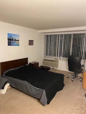 211 East Ohio Street, Unit 1003 Chicago, IL 60611 - Photo 8 of 11 a living room with a bed furniture and a window