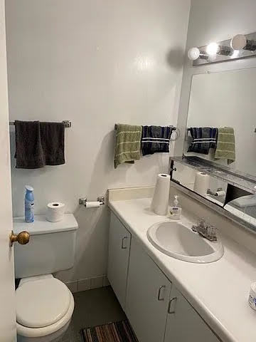211 East Ohio Street, Unit 1003 Chicago, IL 60611 - Photo 9 of 11 a bathroom with a sink toilet a mirror and vanity