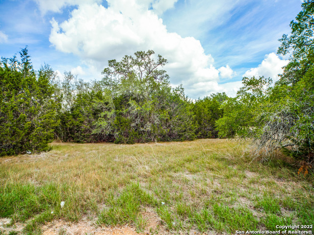 708 Sharp Spgs Road Bulverde, TX 78163 - Photo 4 of 17