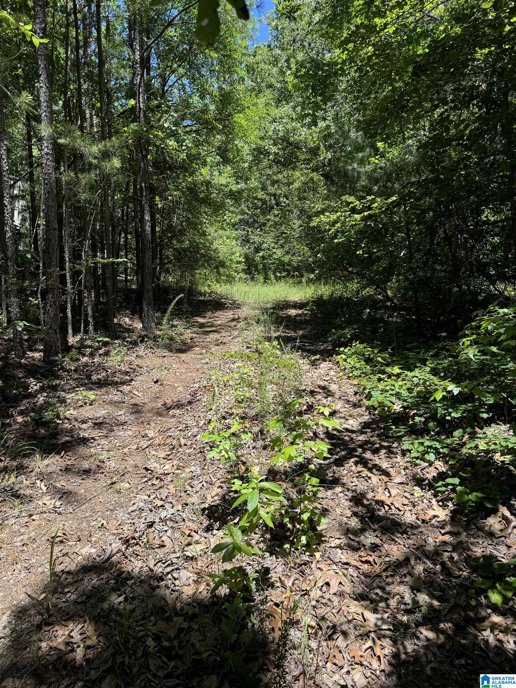 70 Spoon Road, Unit 3 ACRES Piedmont, AL 36272 - Photo 13 of 14