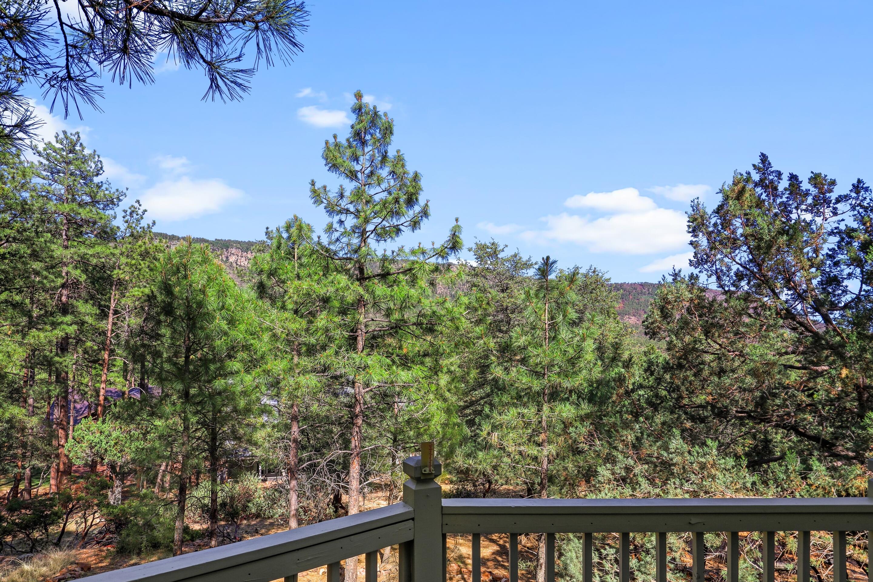 5108 Juniper Loop Pine, AZ 85544 - Photo 25 of 27 mls-1E0A9032