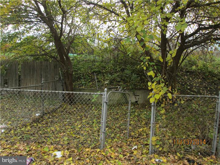 62 Springton Road Upper Darby, PA 19082 - Photo 12 of 12 Back Yard