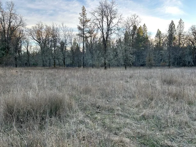 a view of a yard with mountains in the background