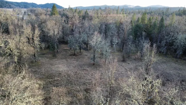 a view of a house with a tree