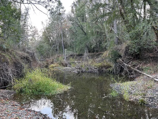 a view of a dry yard with trees
