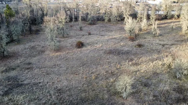 a view of a forest with a forest