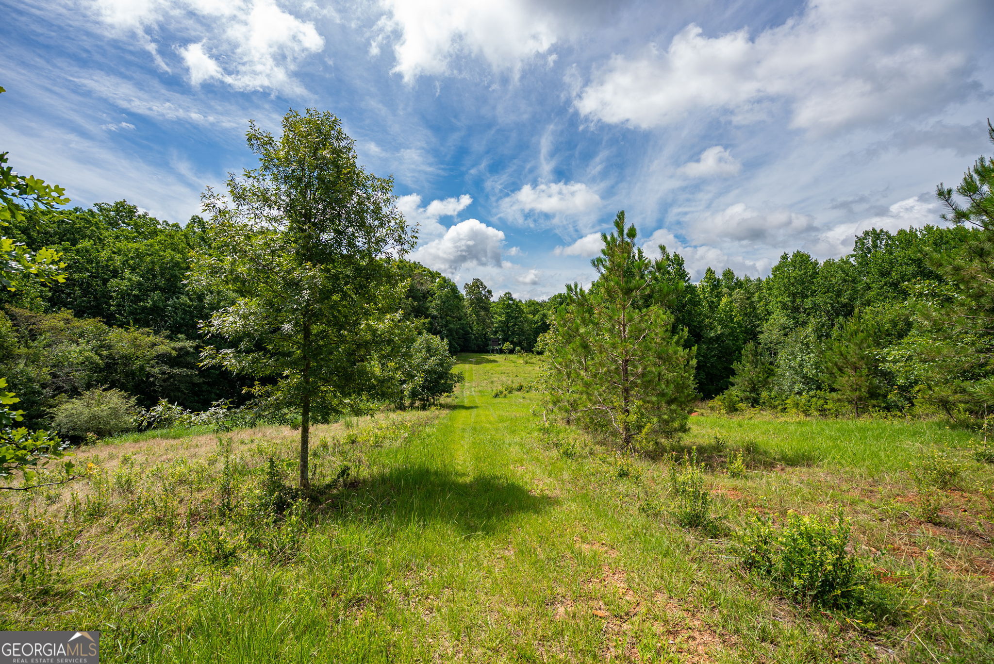 2286 Duffell Martin Road Comer, GA 30629 - Photo 35 of 81
