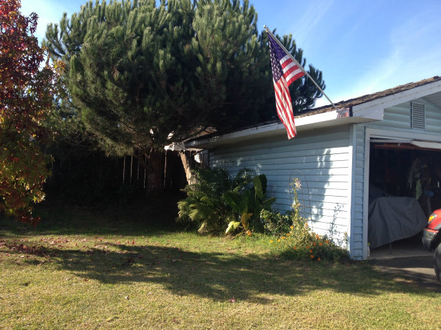 126 Roache Road Freedom, CA 95019 - Photo 4 of 17 Gallery Image 4