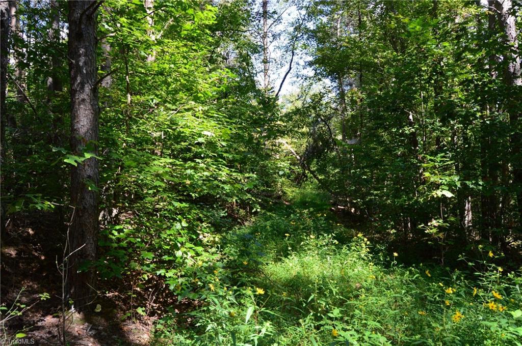 245 Bear Road Madison, NC 27025 - Photo 35 of 39