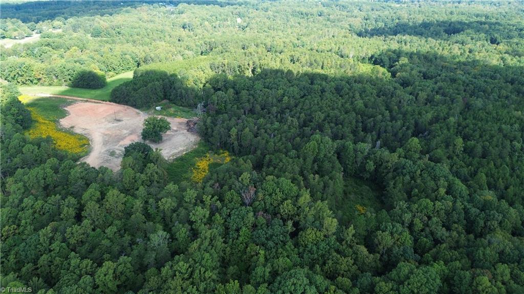 245 Bear Road Madison, NC 27025 - Photo 4 of 39