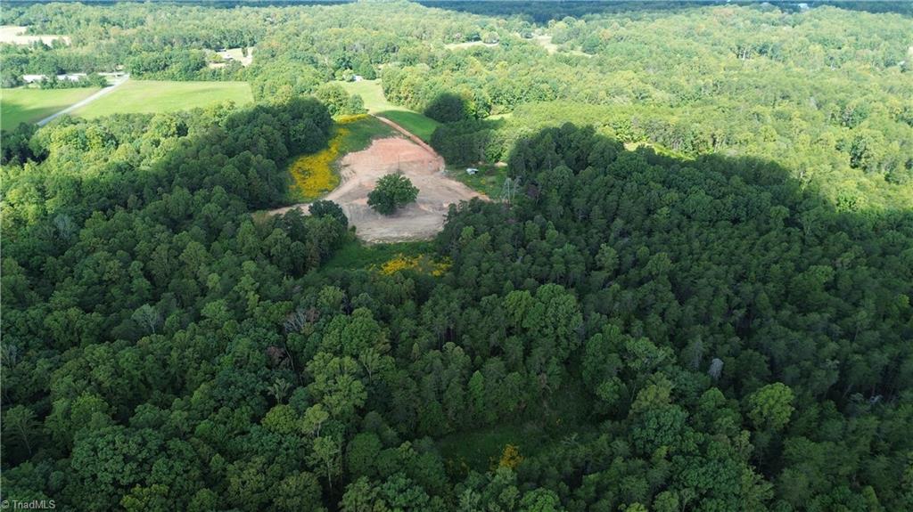 245 Bear Road Madison, NC 27025 - Photo 5 of 39
