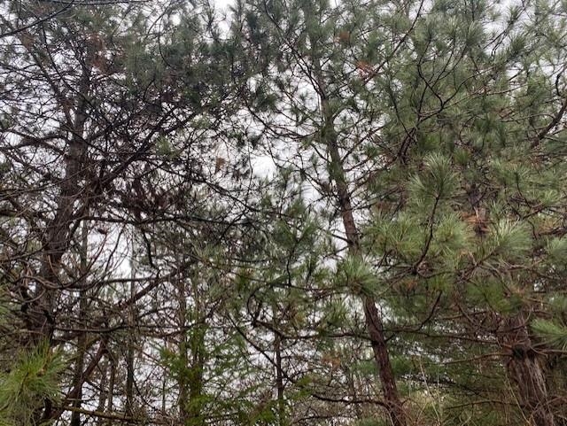 Lot 2 Sideline Road Wausau, WI 54403 - Photo 3 of 7