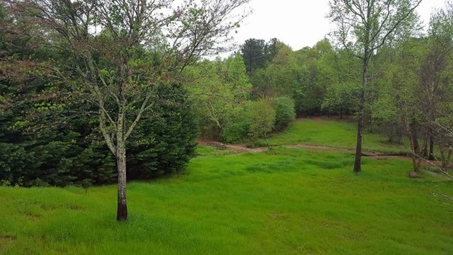 143 Lake View Road Jackson, GA 30233 - Photo 21 of 22 Additional Photo