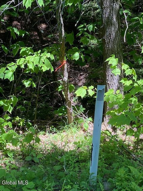 55 Fodder Road Stony Creek, NY 12878 - Photo 11 of 13 Marker for farthest point