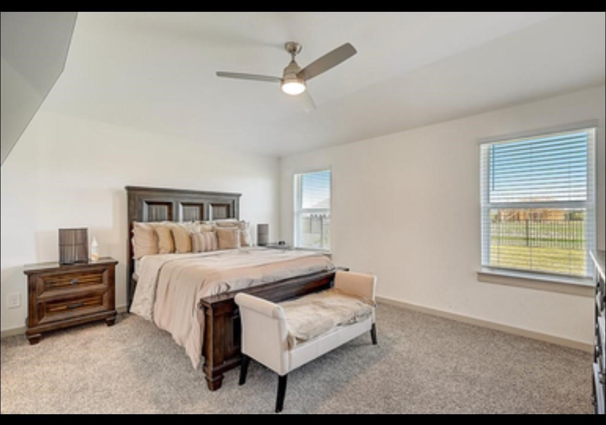 1246 Truckee River Drive Rosharon, TX 77583 - Photo 16 of 23 Spacious bedroom with a large bed, neutral tones, and ample natural light from two windows. Features include a ceiling fan, carpeted floor, and stylish wooden furniture.