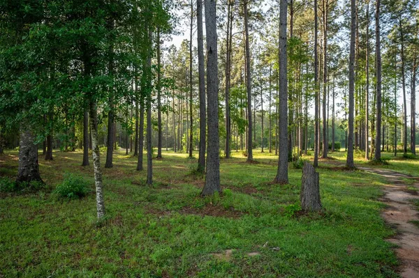 $120,000 | 4670 Fred Tx 77616, Fred, TX 77616