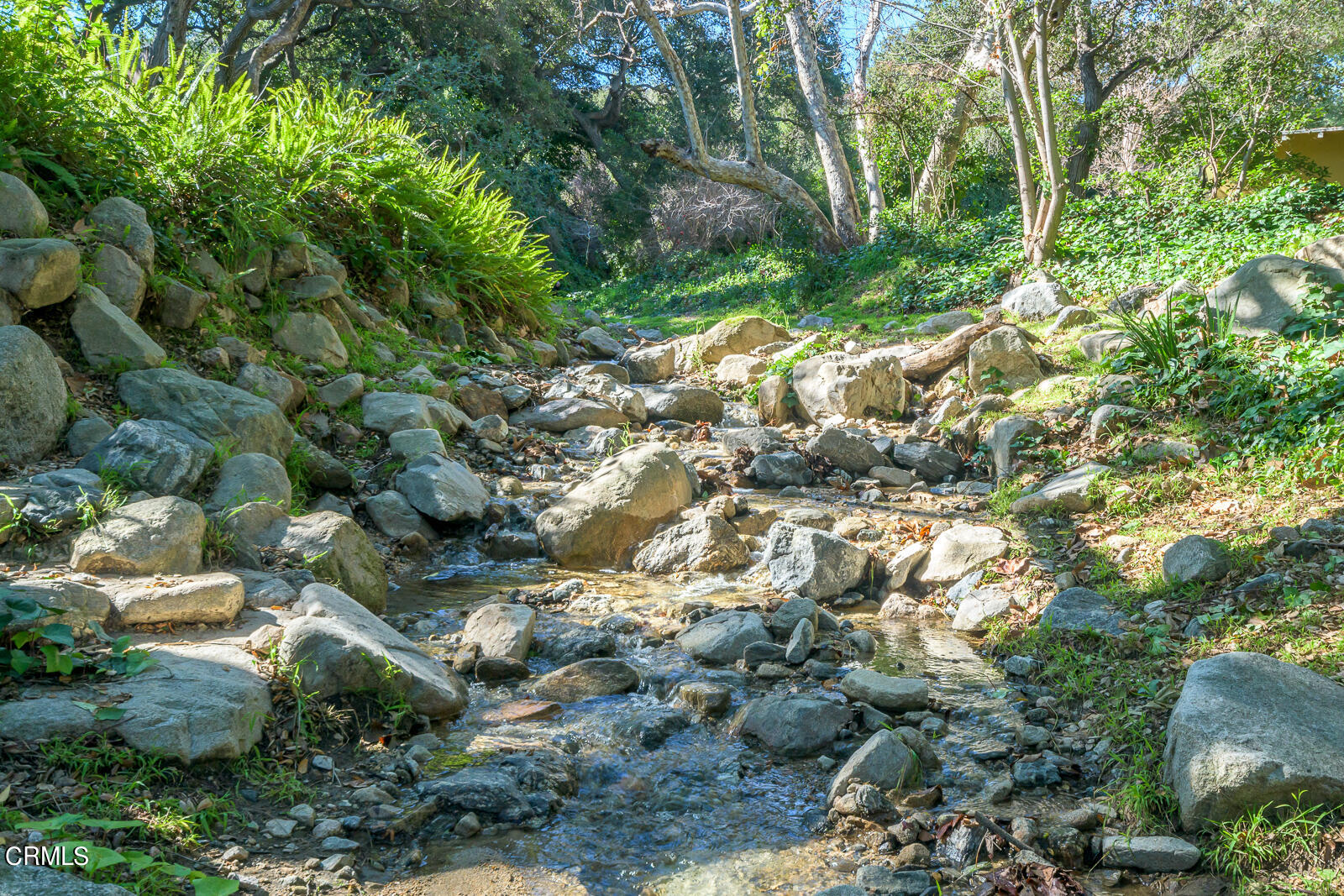 416 Whiting Woods Road Glendale, CA 91208 - Photo 2 of 2 a view of a garden with a tree