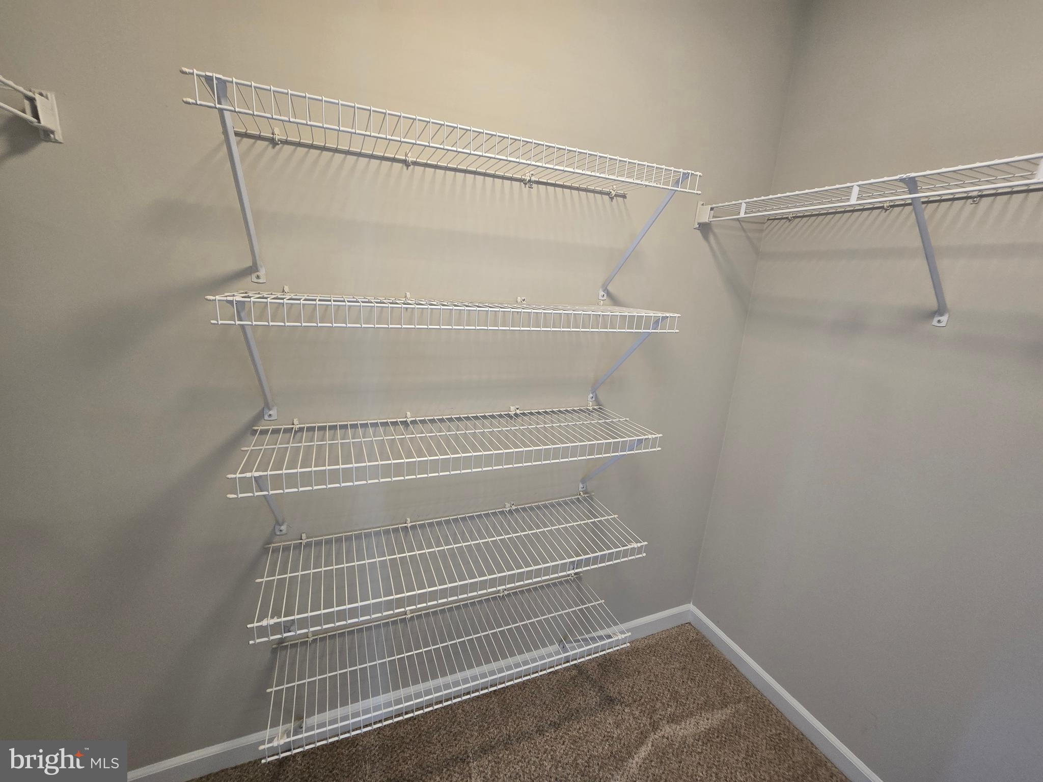 1248 Steed Street Ranson, WV 25438 - Photo 26 of 42 a view of walk in closet with empty racks