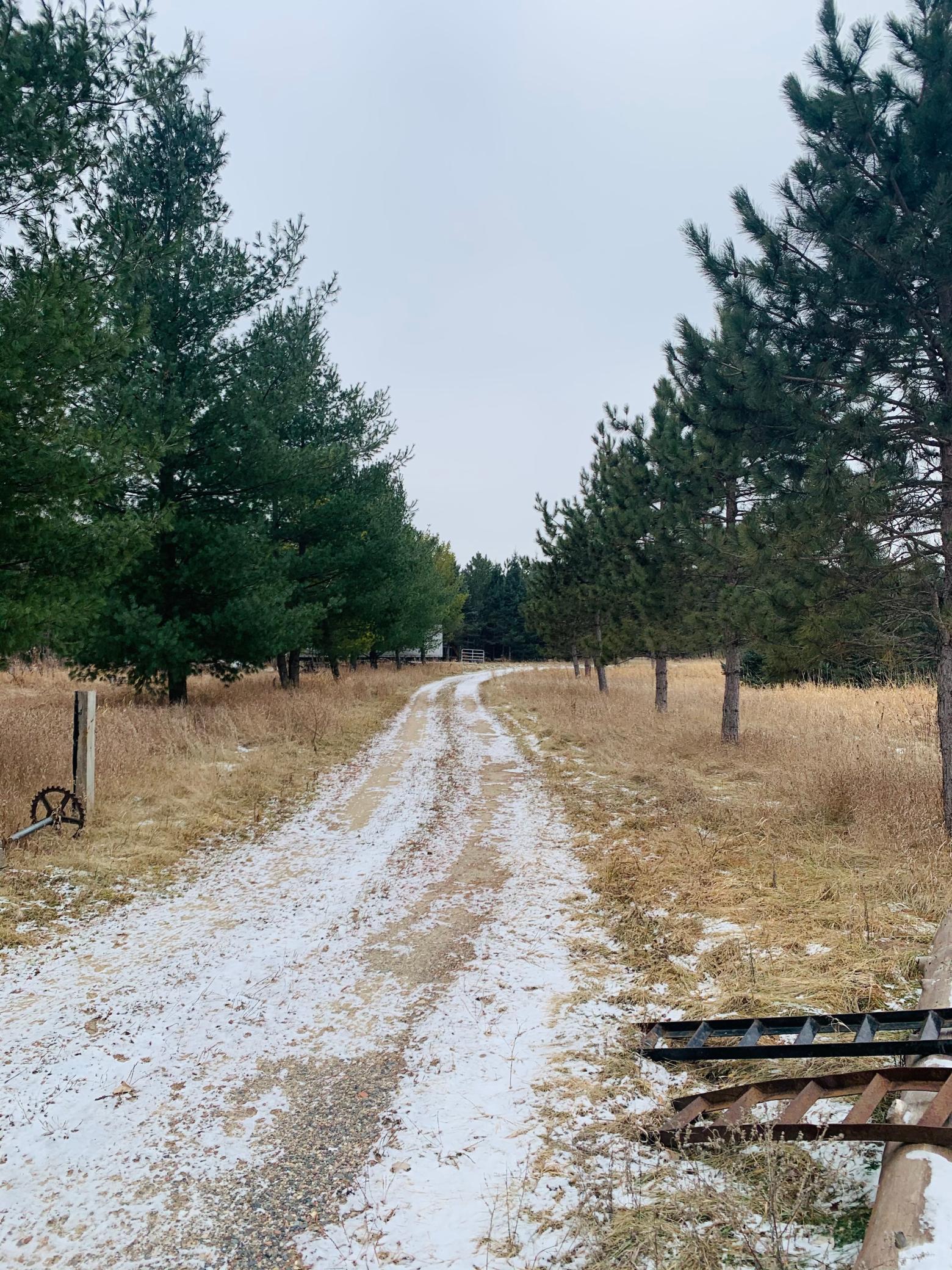 21010 Cleary Road Northwest Nowthen, MN 55303 - Photo 1 of 1