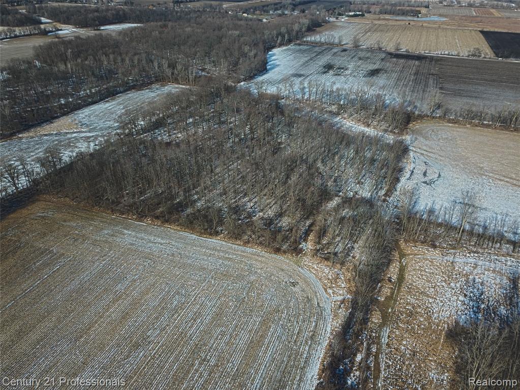 16390 Dryden Road Allenton, MI 48002 - Photo 10 of 13
