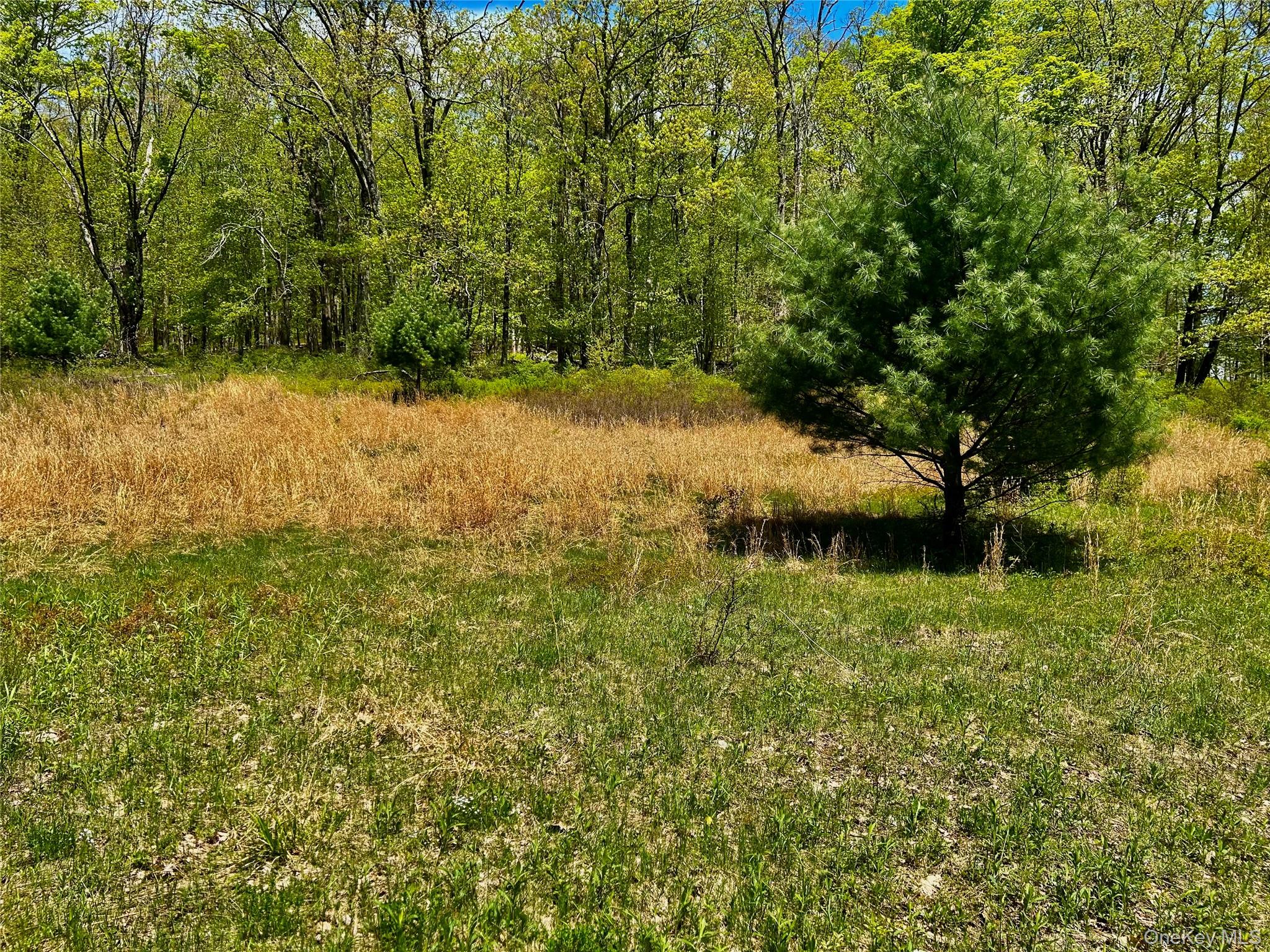 4 West Hill Road Austerlitz, NY 12017 - Photo 12 of 19 a view of a lake view