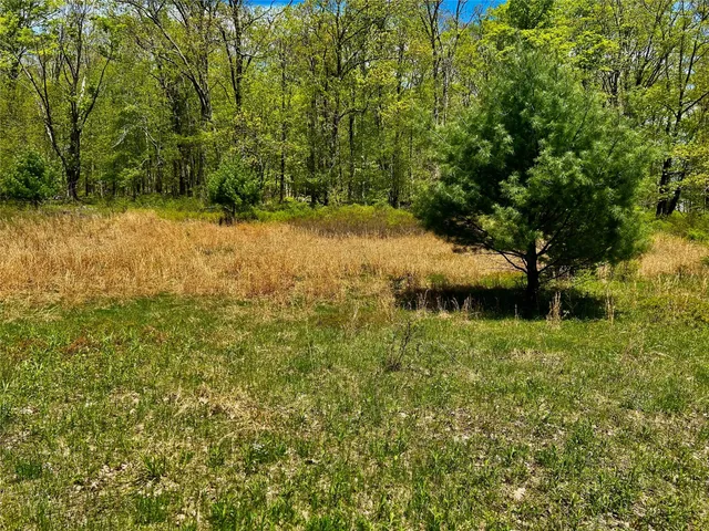 a view of an outdoor space