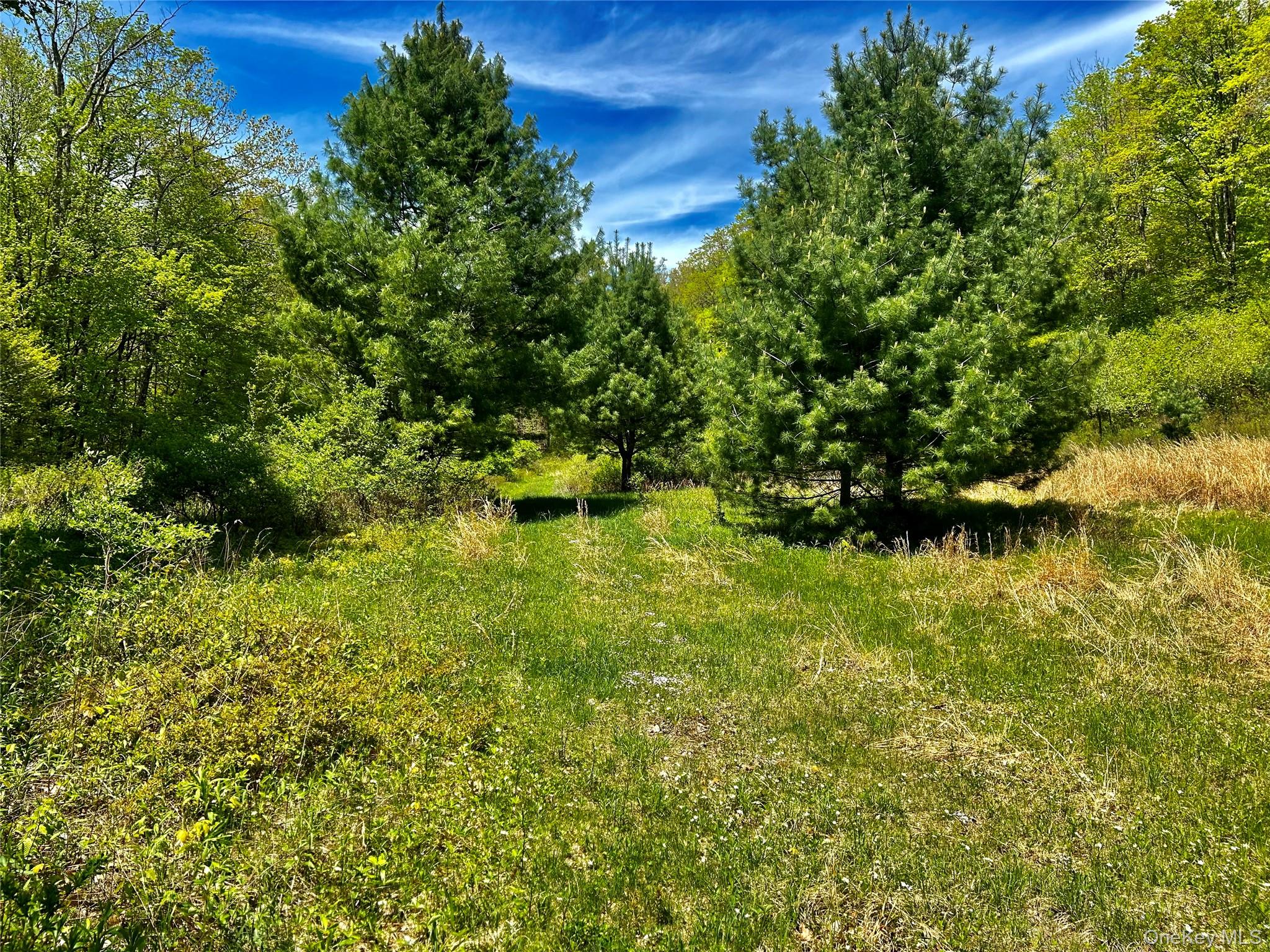 4 West Hill Road Austerlitz, NY 12017 - Photo 13 of 19 a view of a garden