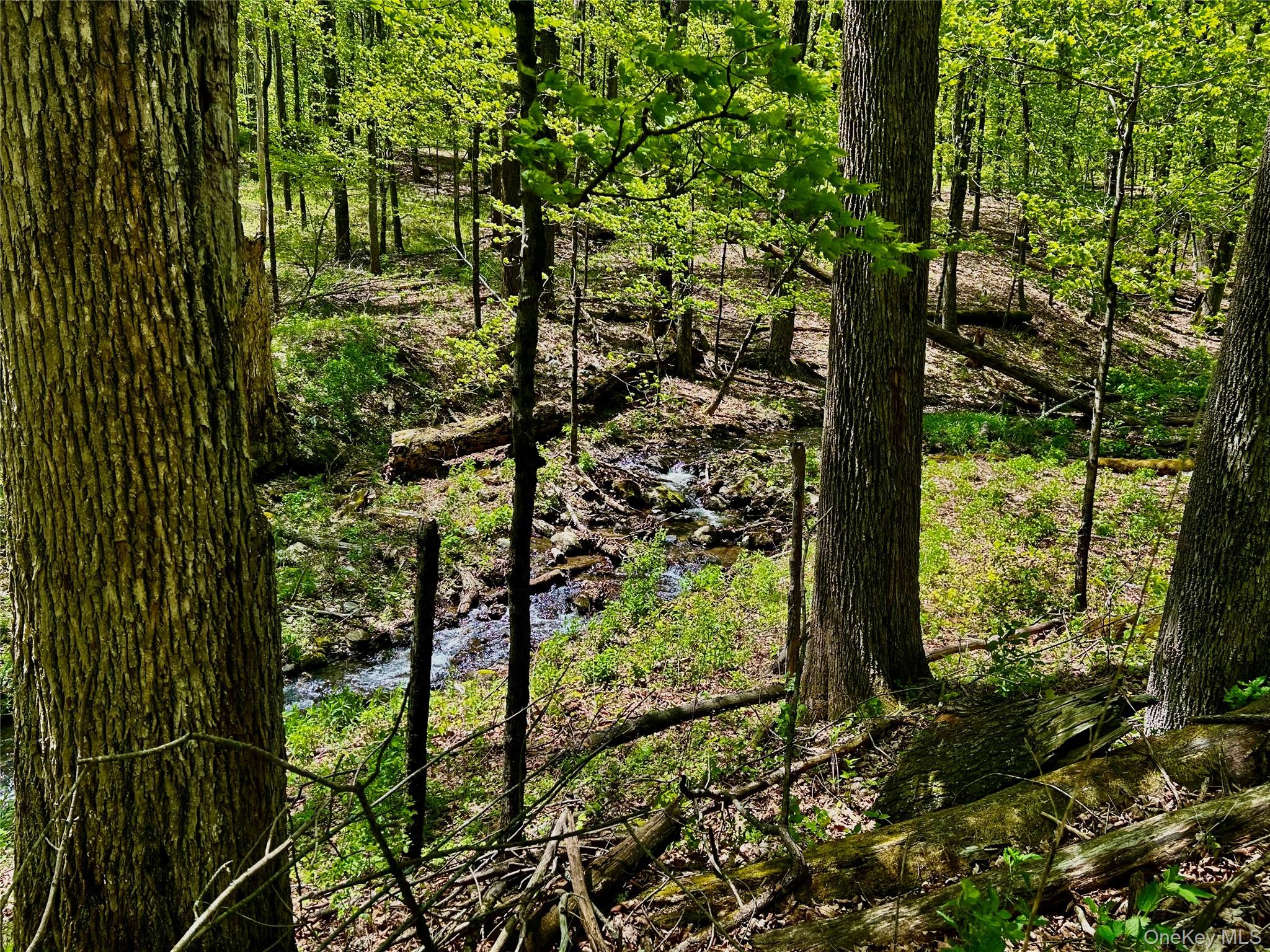 4 West Hill Road Austerlitz, NY 12017 - Photo 14 of 19 a view of backyard from a tree