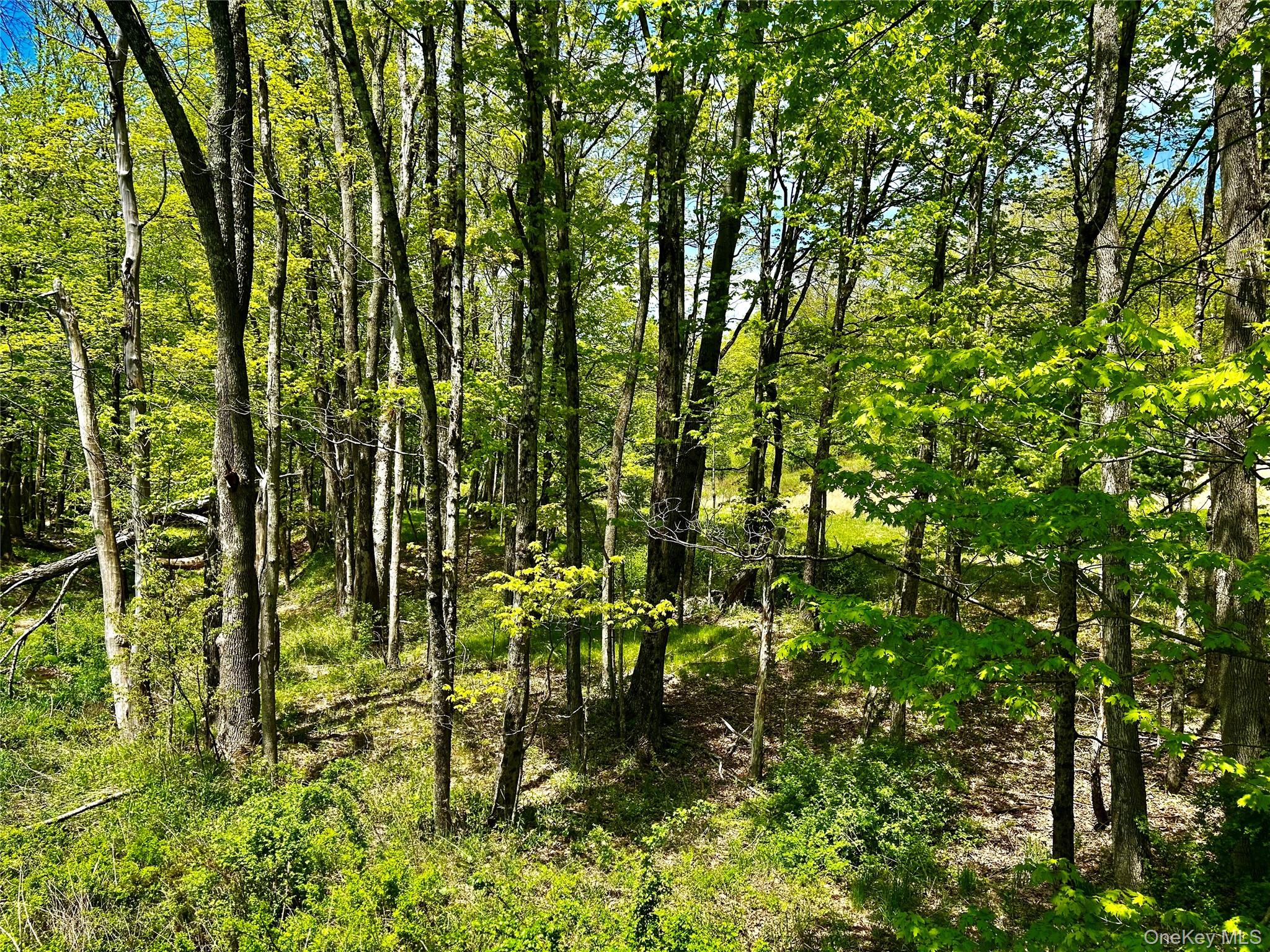 4 West Hill Road Austerlitz, NY 12017 - Photo 15 of 19 a view of an outdoor space