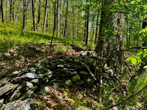 a view of outdoor space