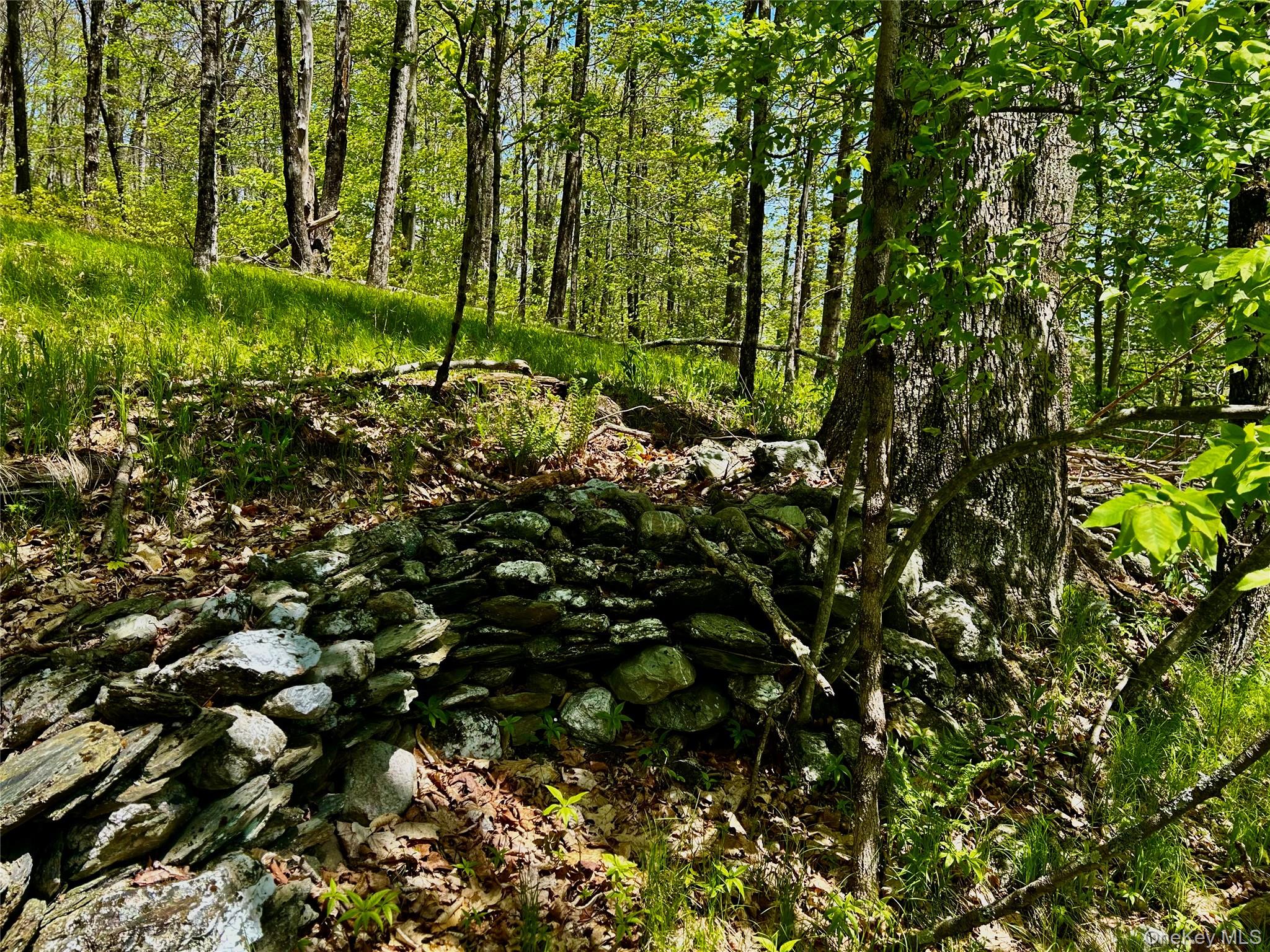 4 West Hill Road Austerlitz, NY 12017 - Photo 17 of 19 a view of a bunch of trees and bushes