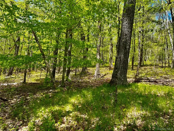 $5,100,000 | 4 West Hill Road, Austerlitz, NY 12017
