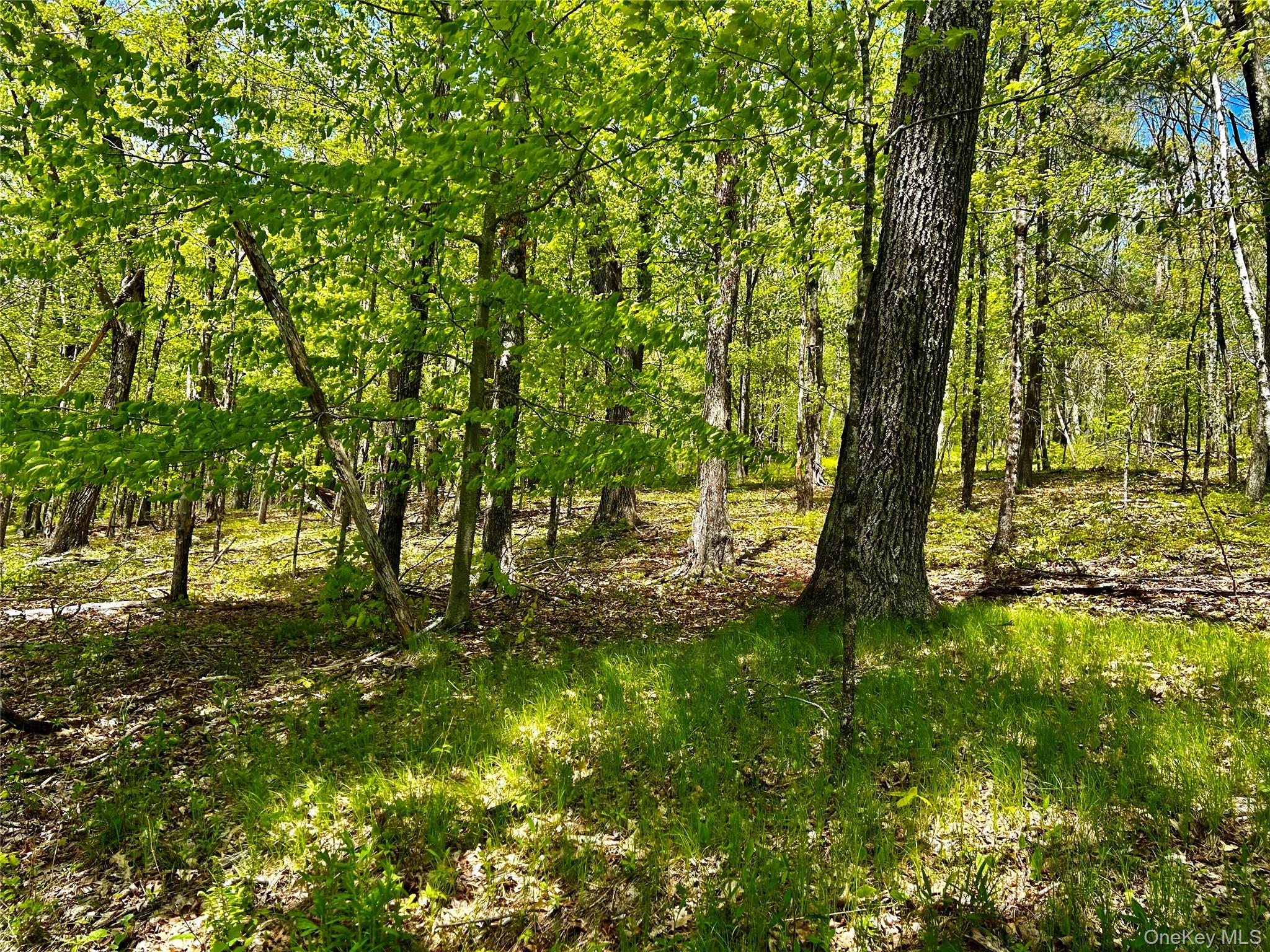 4 West Hill Road Austerlitz, NY 12017 - Photo 18 of 19