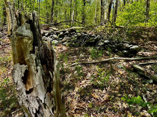 $5,100,000 | 4 West Hill Road, Austerlitz, NY 12017