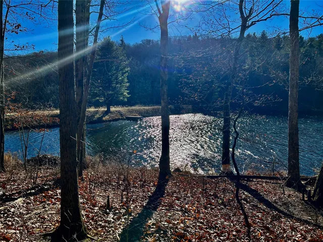 a view of a bunch of trees in a field