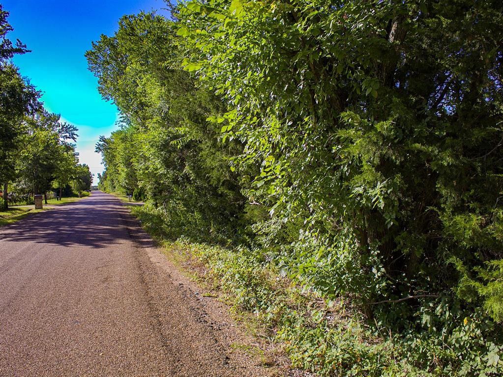 5830 Co Road Terrell, TX 75160 - Photo 8 of 11