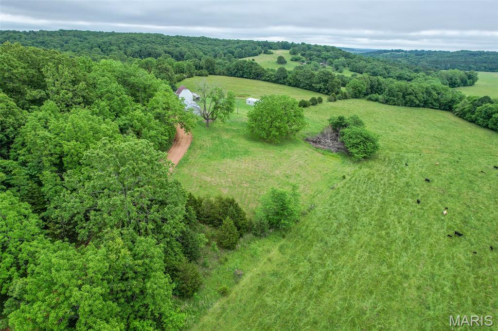 4354 Odell Road Grovespring, MO 65662 - Photo 8 of 27
