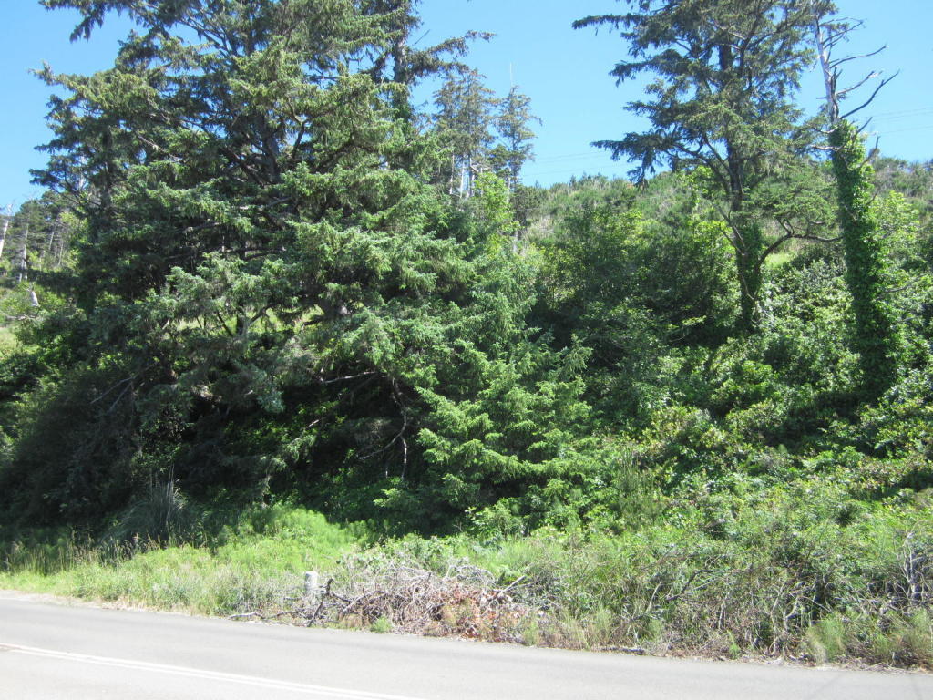 Lot 224 Happy Camp Road Tillamook, OR 97141 - Photo 4 of 9 Lot